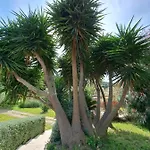 Rez de jardin villa Presqu'ile de Giens Hyères