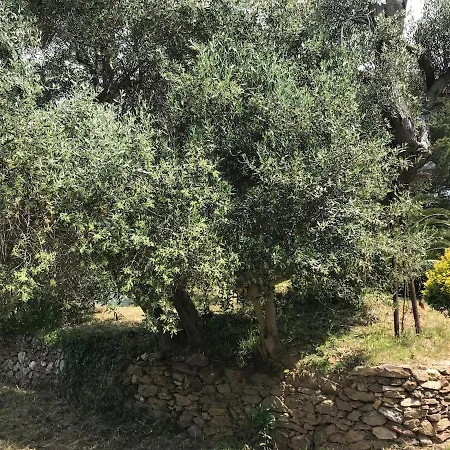 Rez De Jardin Presqu'ile De Giens Hyères