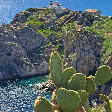 Daire Rez De Jardin Presqu'ile De Giens