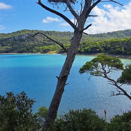 Rez De Jardin Independant Presqu'ile De Giens شقة